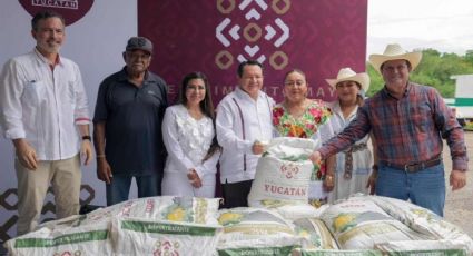 Inversión, tecnología y apoyos: así fortalece Díaz Mena al campo de Yucatán