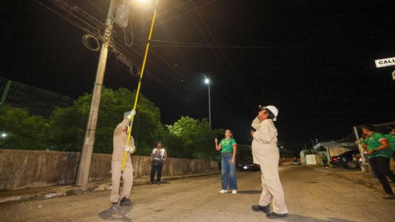 Mérida invierte 50 mdp en luminarias LED para Caucel