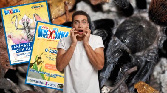 Mérida se llenará de INSECTOS con un festival único: fechas y actividades del "Insectival"