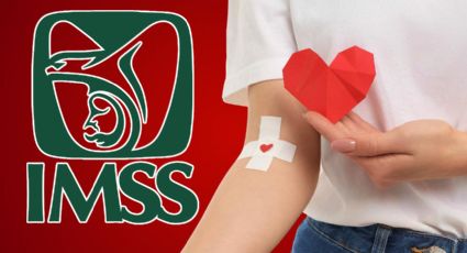 ¿Quieres donar sangre en Mérida? Guía de requisitos para la jornada del IMSS